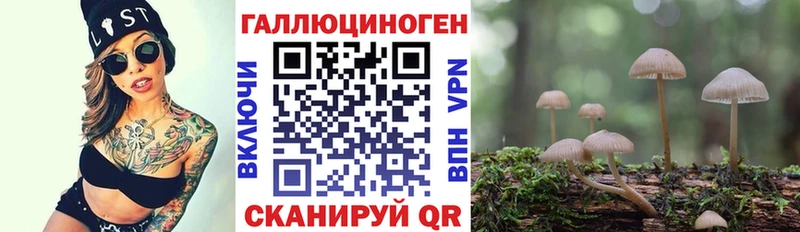 Псилоцибиновые грибы Psilocybe купить Светлый